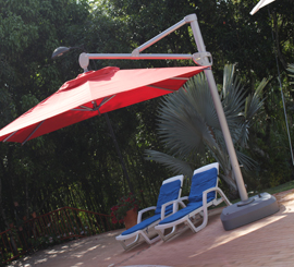 Sombrilla Palma