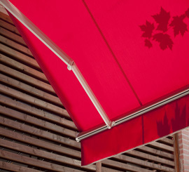 Toldo Brazos Extensibles